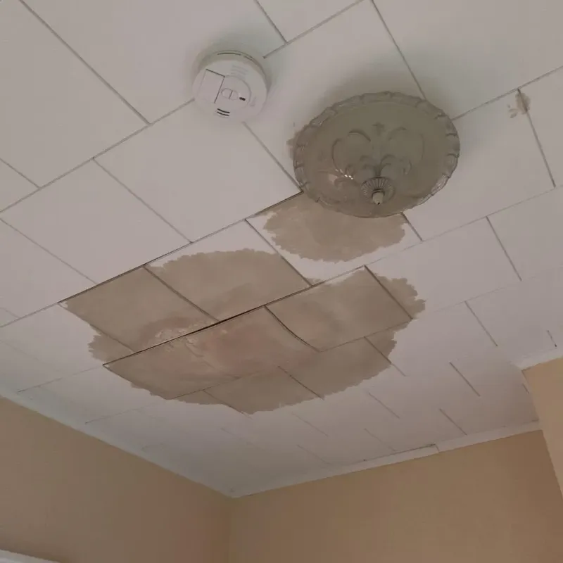 Ceiling Water Damage Repair in Wood County, OH