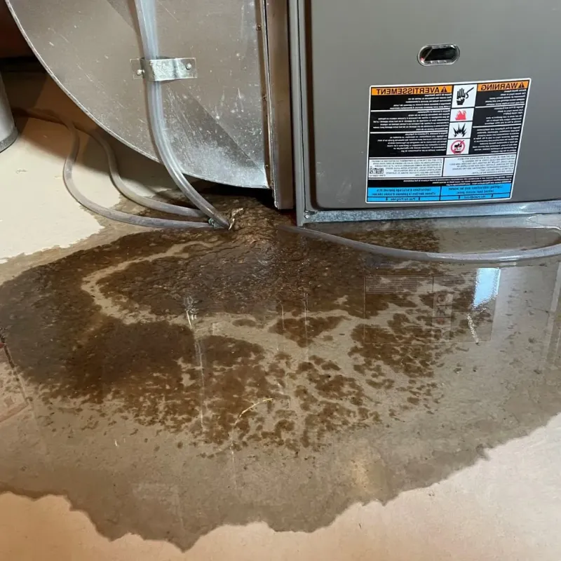 Pipe Burst and Leak Restoration in Wood County, OH