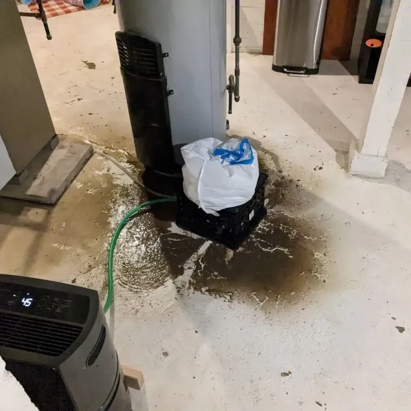 Sewage Backup Cleanup Service in Wood County, OH